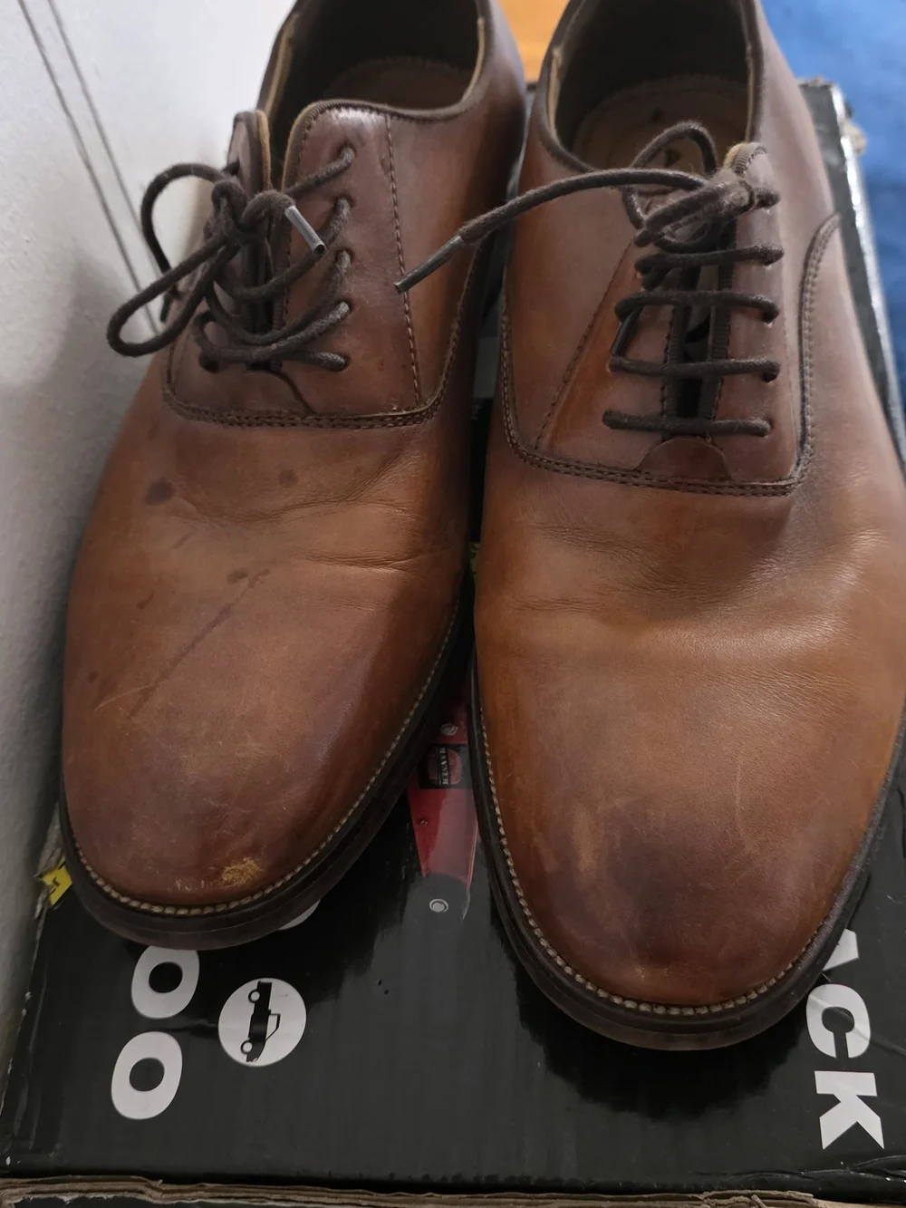 Aldo Chestnut Brown Leather Derby Lace-Up Shoes